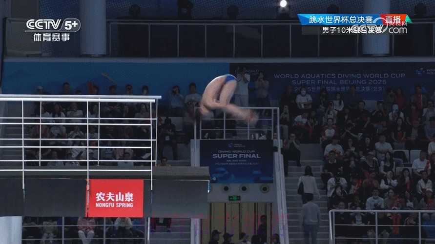 最新世界杯赛事动态与比赛信息汇总